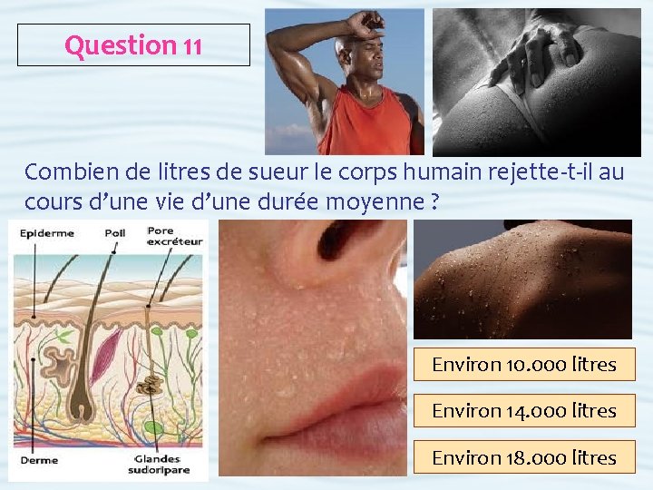 Question 11 Combien de litres de sueur le corps humain rejette-t-il au cours d’une