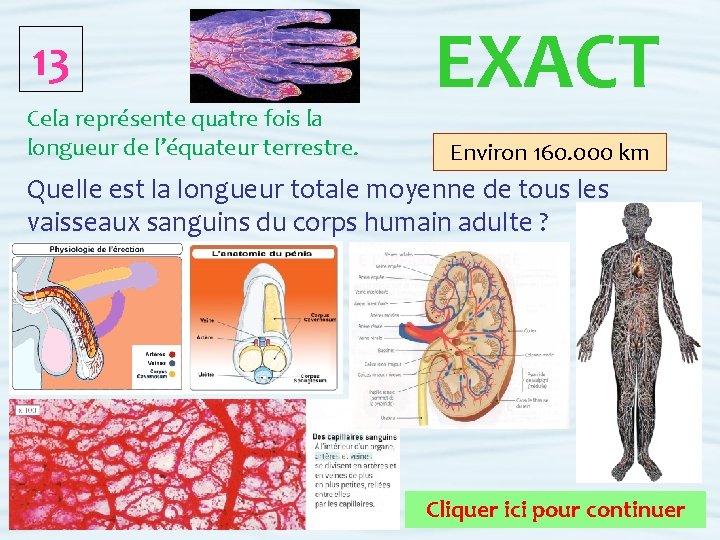 13 Cela représente quatre fois la longueur de l’équateur terrestre. EXACT Environ 160. 000