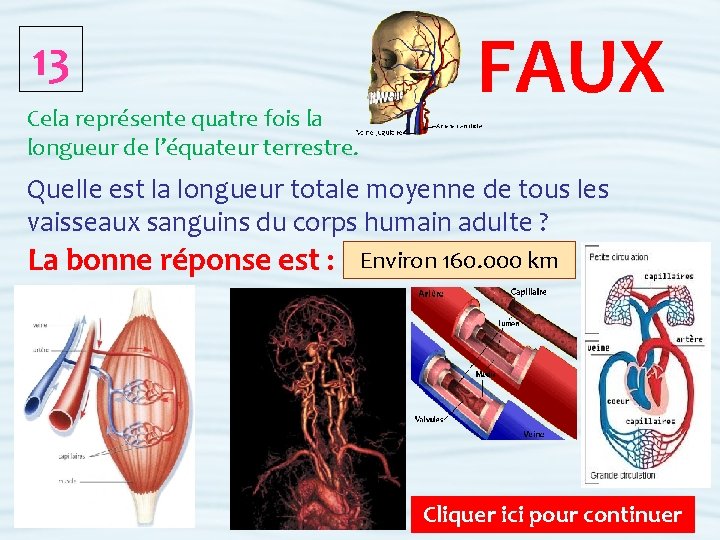 13 Cela représente quatre fois la longueur de l’équateur terrestre. FAUX Quelle est la