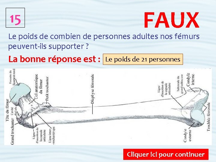 15 FAUX Le poids de combien de personnes adultes nos fémurs peuvent-ils supporter ?