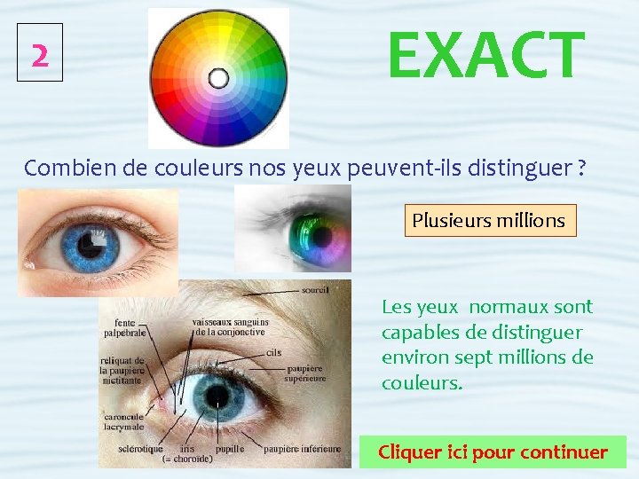 2 EXACT Combien de couleurs nos yeux peuvent-ils distinguer ? Plusieurs millions Les yeux