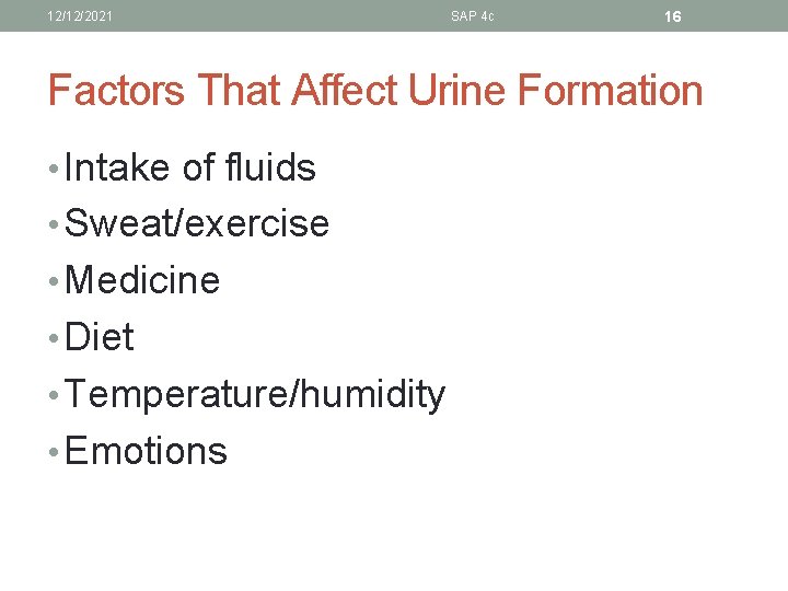 12/12/2021 SAP 4 c 16 Factors That Affect Urine Formation • Intake of fluids