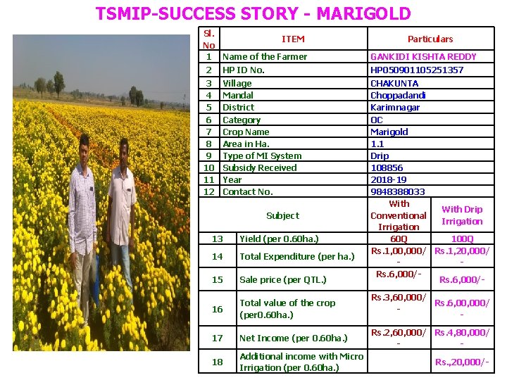 TSMIP-SUCCESS STORY - MARIGOLD Sl. ITEM No 1 Name of the Farmer 2 3