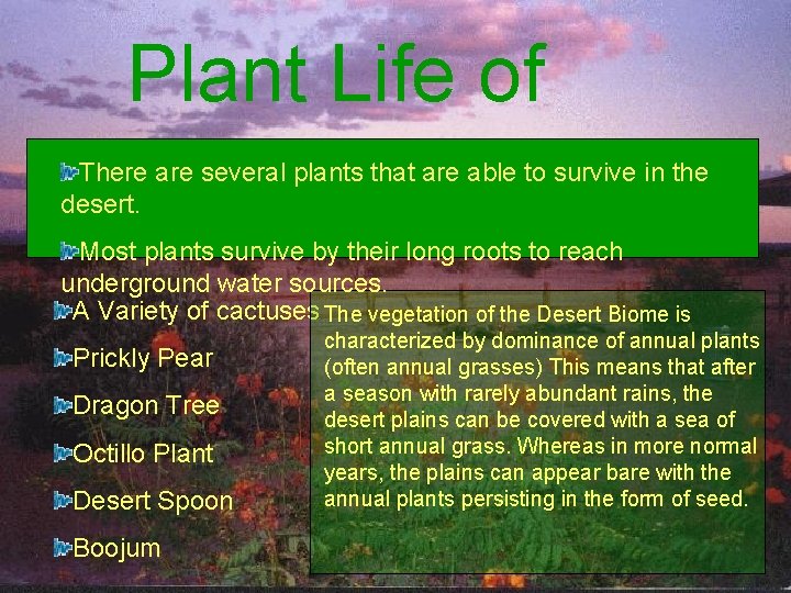 Plant Life of Deserts There are several plants that are able to survive in