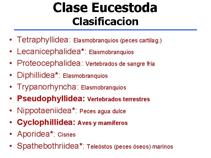 Clase Eucestoda Clasificacion • • • Tetraphyllidea: Elasmobranquios (peces cartilag. ) Lecanicephalidea*: Elasmobranquios Proteocephalidea: