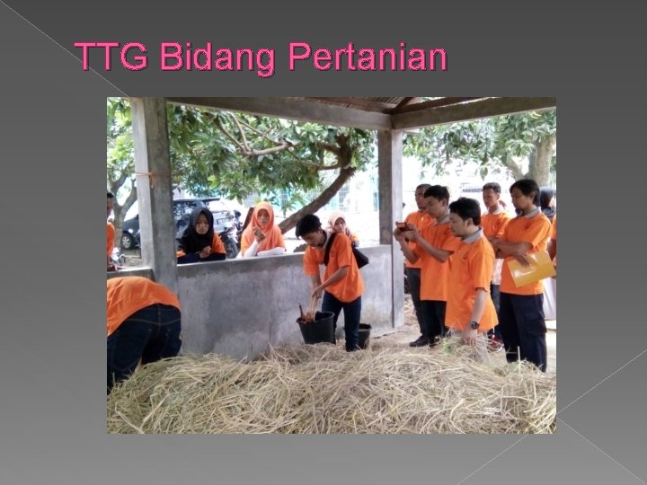 TTG Bidang Pertanian 