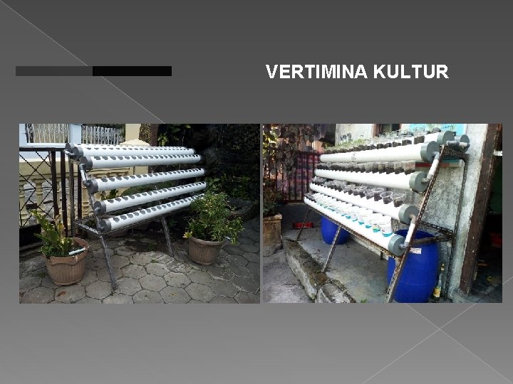 VERTIMINA KULTUR 