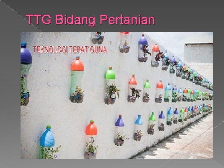 TTG Bidang Pertanian 