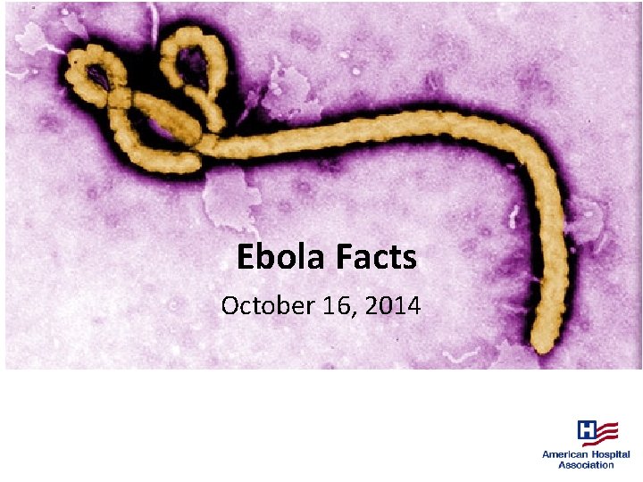 Ebola Facts October 16, 2014 