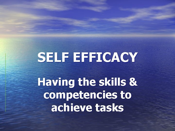 SELF EFFICACY Having the skills & competencies to achieve tasks 