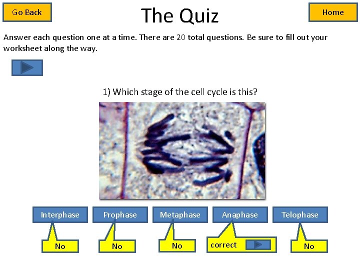 The Quiz Go Back Home Answer each question one at a time. There are