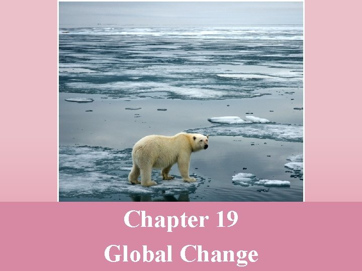 Chapter 19 Global Change 