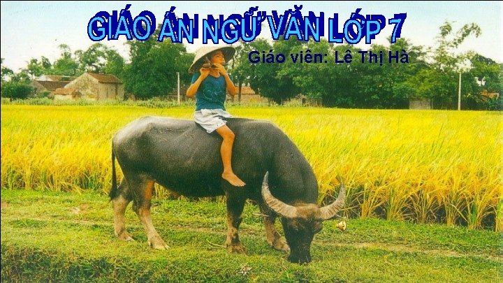 Giáo viên: Lê Thị Hà 