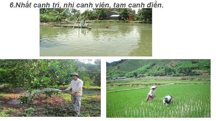 6. Nhất canh trì, nhị canh viên, tam canh điền. 