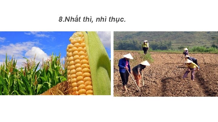 8. Nhất thì, nhì thục. 