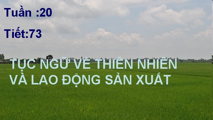 Tuần : 20 Tiết: 73 TỤC NGỮ VỀ THIÊN NHIÊN VÀ LAO ĐỘNG SẢN