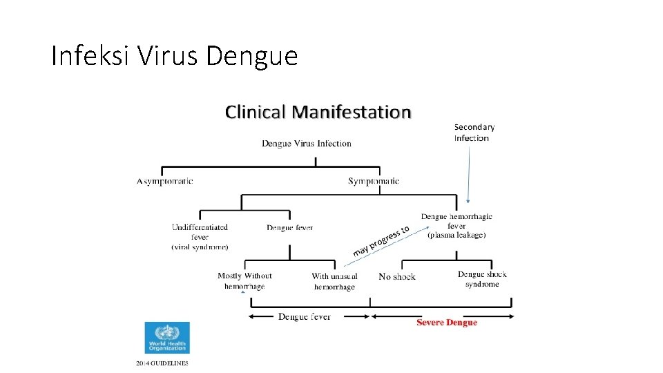 Infeksi Virus Dengue 