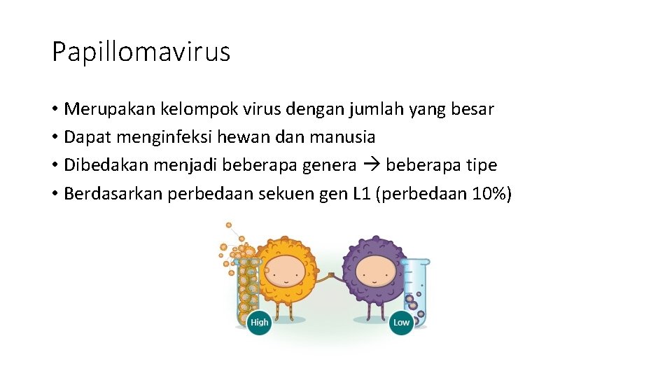Papillomavirus • Merupakan kelompok virus dengan jumlah yang besar • Dapat menginfeksi hewan dan