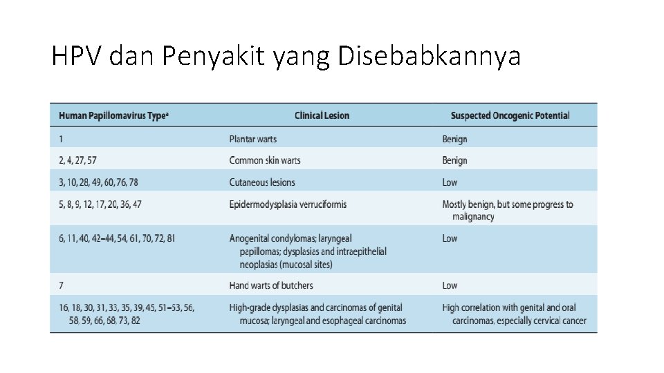 HPV dan Penyakit yang Disebabkannya 