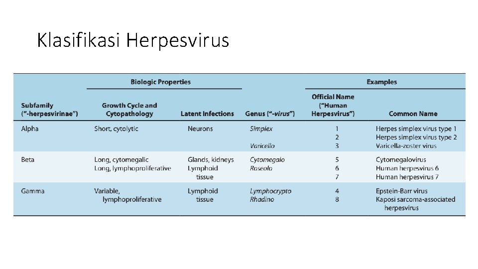 Klasifikasi Herpesvirus 