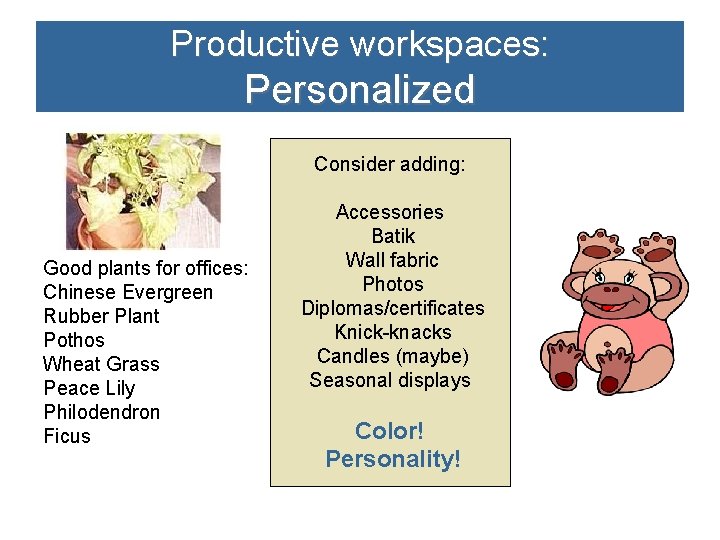 Productive workspaces: Personalized Consider adding: Good plants for offices: Chinese Evergreen Rubber Plant Pothos