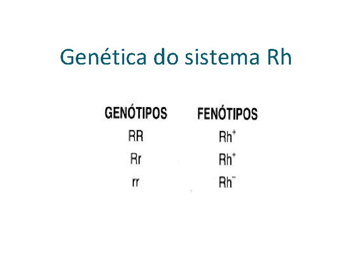 Genética do sistema Rh 