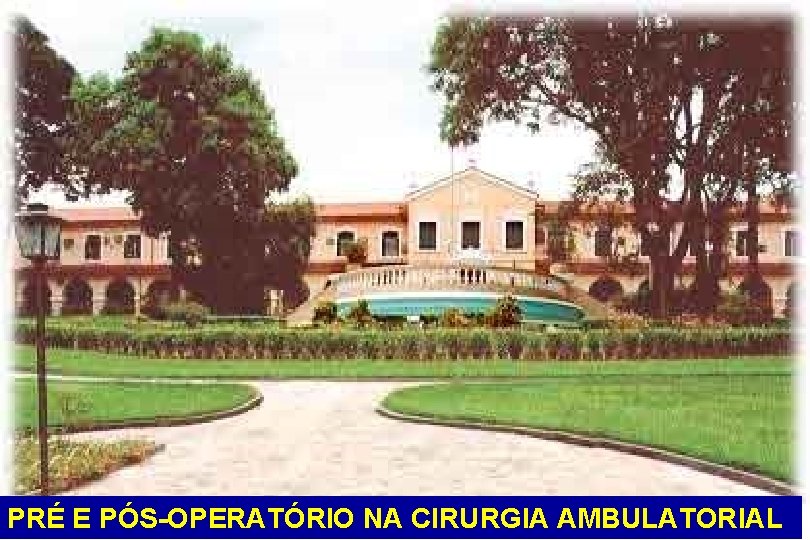 PRÉ E PÓS-OPERATÓRIO NA CIRURGIA AMBULATORIAL 