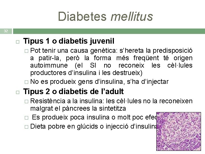 Diabetes mellitus 32 Tipus 1 o diabetis juvenil � Pot tenir una causa genètica: