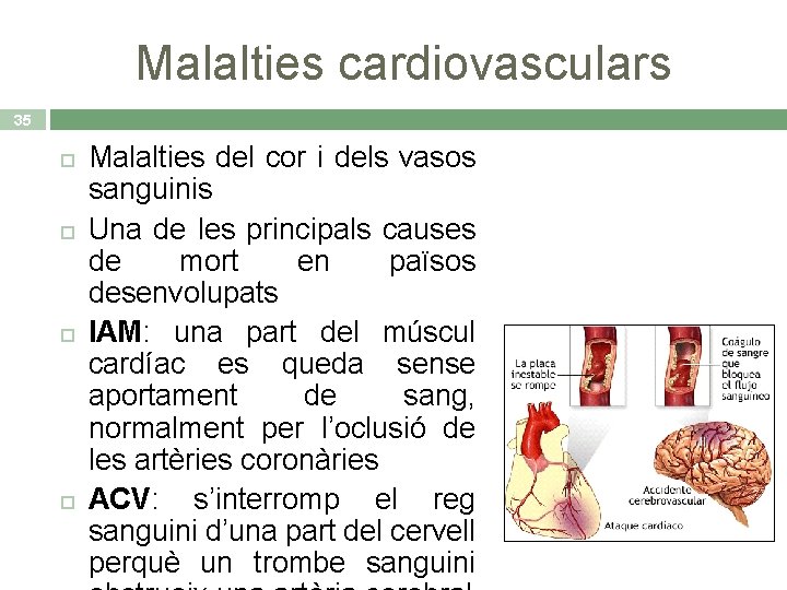 Malalties cardiovasculars 35 Malalties del cor i dels vasos sanguinis Una de les principals