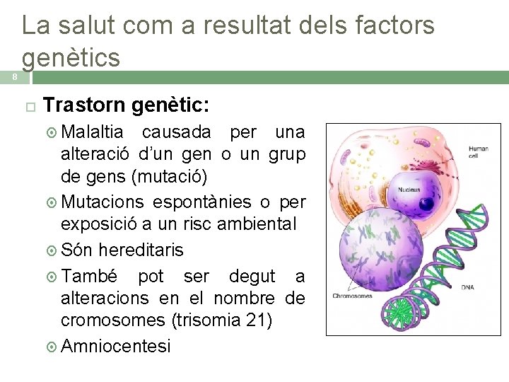 La salut com a resultat dels factors genètics 8 Trastorn genètic: Malaltia causada per