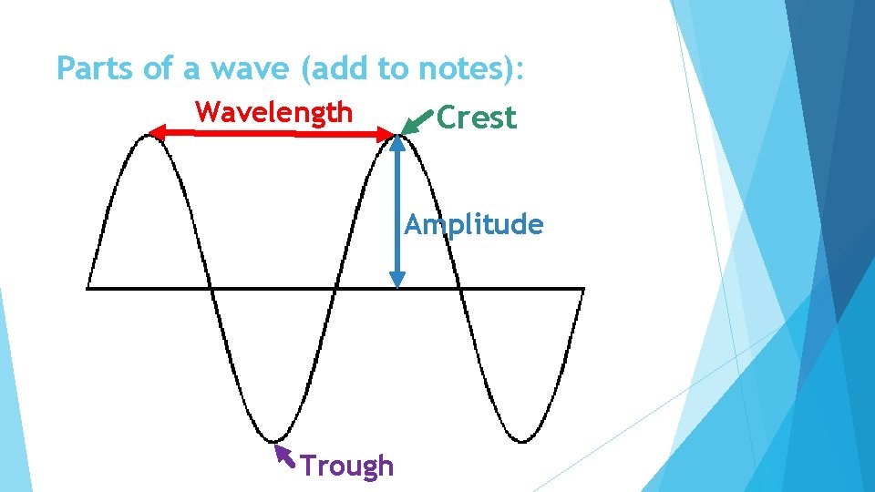 Parts of a wave (add to notes): Wavelength Crest Amplitude Trough 