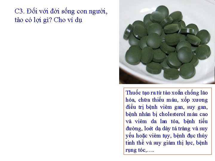 C 3. Đối với đời sống con người, tảo có lợi gì? Cho ví