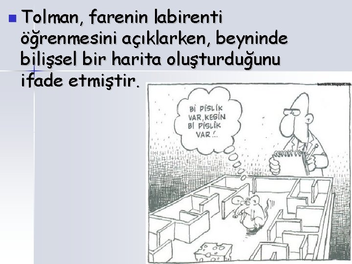 Tolman, farenin labirenti öğrenmesini açıklarken, beyninde bilişsel bir harita oluşturduğunu ifade etmiştir. Tolman, farenin labirenti öğrenmesini açıklarken, beyninde bilişsel bir harita oluşturduğunu ifade etmiştir.