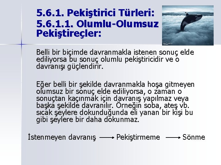 5. 6. 1. Pekiştirici Türleri: 5. 6. 1. 1. Olumlu-Olumsuz Pekiştireçler: Belli bir biçimde 5. 6. 1. Pekiştirici Türleri: 5. 6. 1. 1. Olumlu-Olumsuz Pekiştireçler: Belli bir biçimde