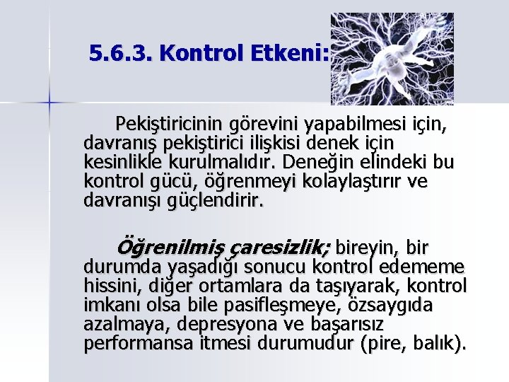 5. 6. 3. Kontrol Etkeni: Pekiştiricinin görevini yapabilmesi için, davranış pekiştirici ilişkisi denek için 5. 6. 3. Kontrol Etkeni: Pekiştiricinin görevini yapabilmesi için, davranış pekiştirici ilişkisi denek için