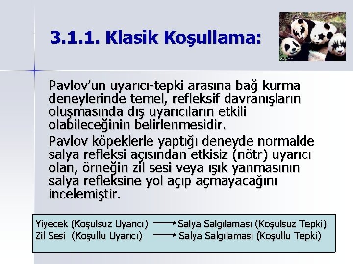 3. 1. 1. Klasik Koşullama: Pavlov’un uyarıcı-tepki arasına bağ kurma deneylerinde temel, refleksif davranışların 3. 1. 1. Klasik Koşullama: Pavlov’un uyarıcı-tepki arasına bağ kurma deneylerinde temel, refleksif davranışların