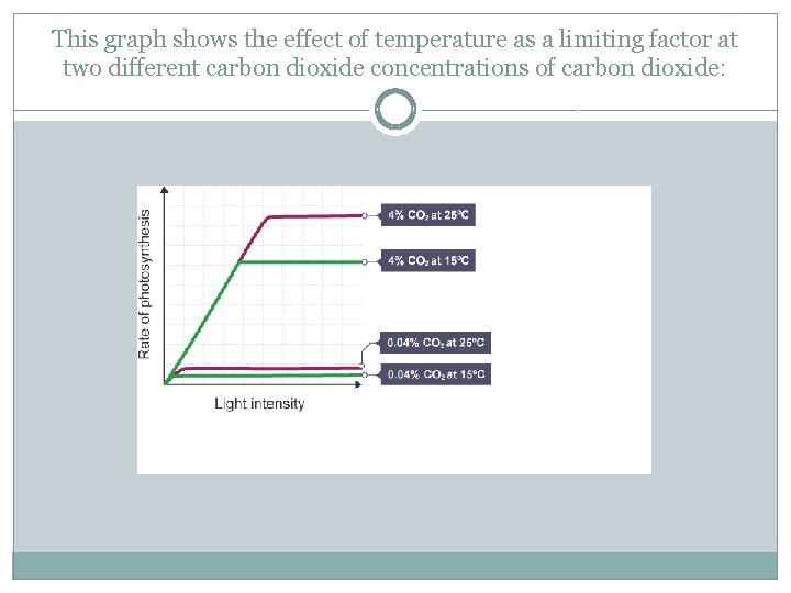 This graph shows the effect of temperature as a limiting factor at two different