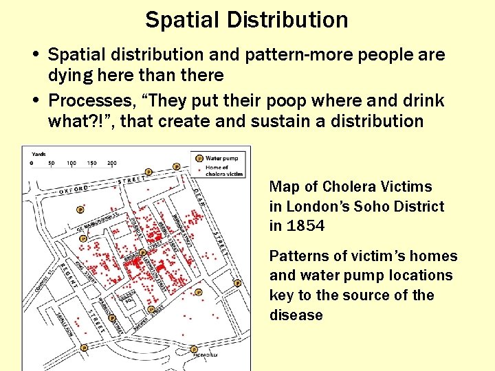 Spatial Distribution • Spatial distribution and pattern-more people are dying here than there •