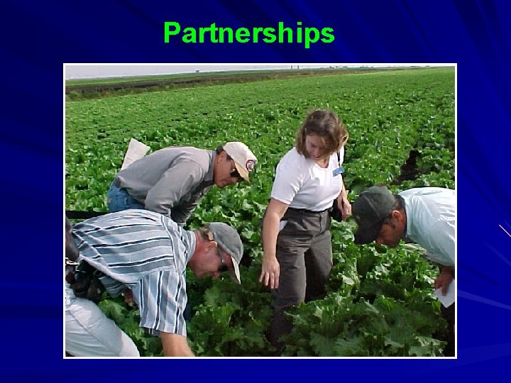 Partnerships Partnerships