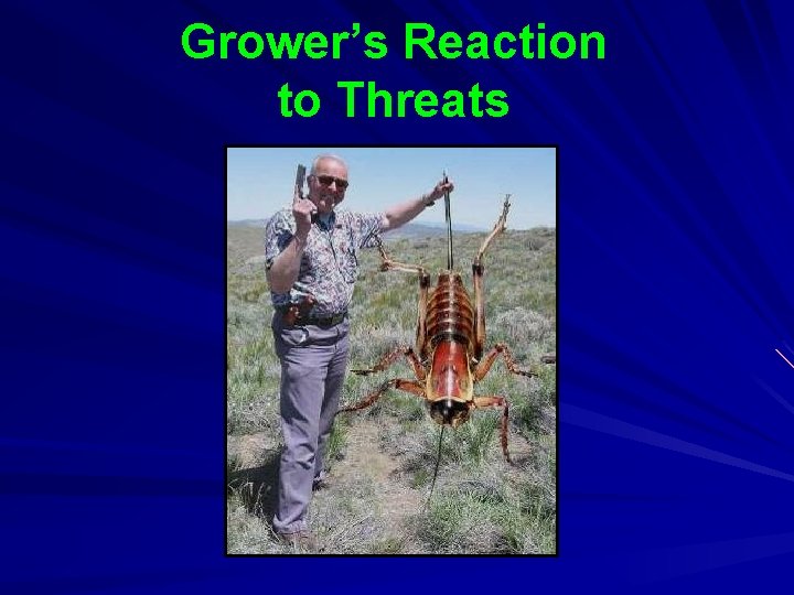 Grower’s Reaction to Threats Grower’s Reaction to Threats