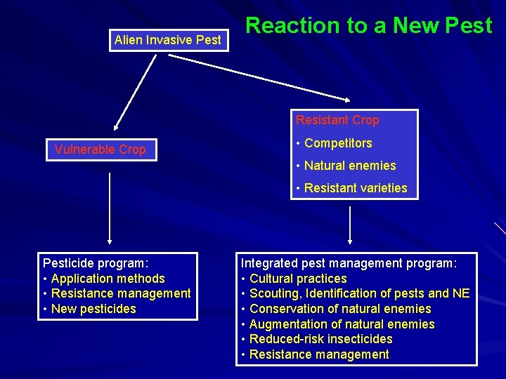 Alien Invasive Pest Reaction to a New Pest Resistant Crop Vulnerable Crop • Competitors Alien Invasive Pest Reaction to a New Pest Resistant Crop Vulnerable Crop • Competitors