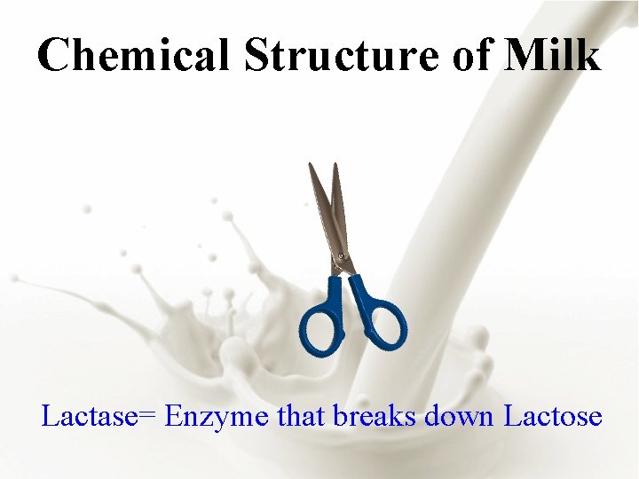 Chemical Structure of Milk Lactase= Enzyme that breaks down Lactose 