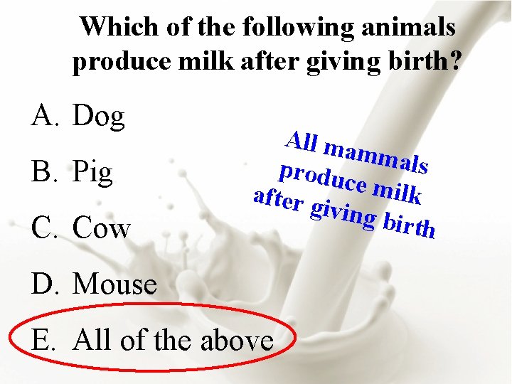 Which of the following animals produce milk after giving birth? A. Dog B. Pig