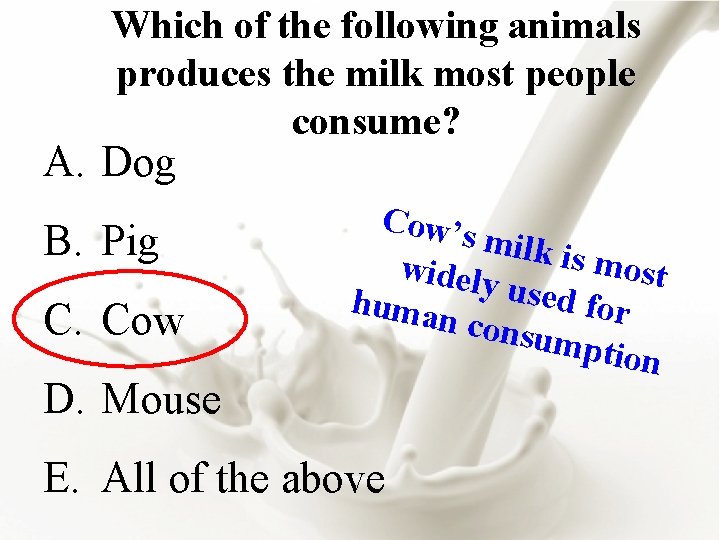 Which of the following animals produces the milk most people consume? A. Dog B.