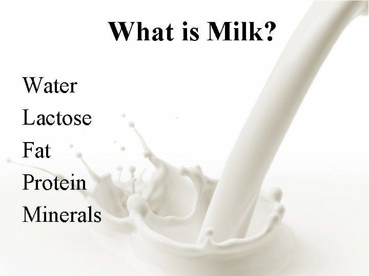 What is Milk? Water Lactose Fat Protein Minerals 