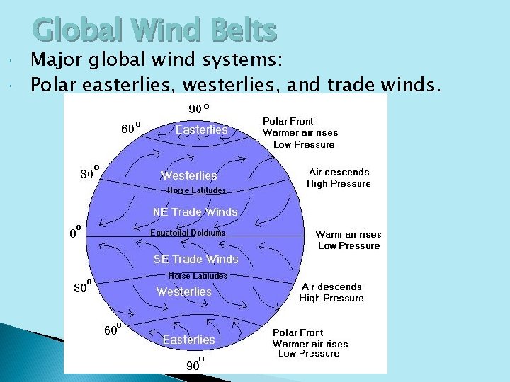 Global Wind Belts Major global wind systems: Polar easterlies, westerlies, and trade winds. 