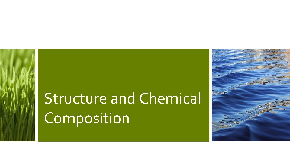 Structure and Chemical Composition 