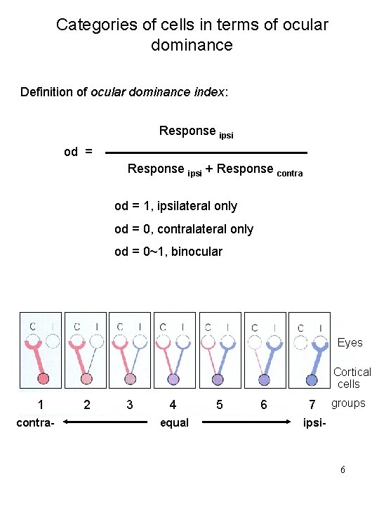 Categories of cells in terms of ocular dominance Definition of ocular dominance index: Response