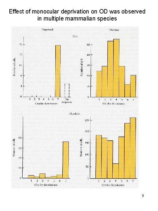 Effect of monocular deprivation on OD was observed in multiple mammalian species 9 