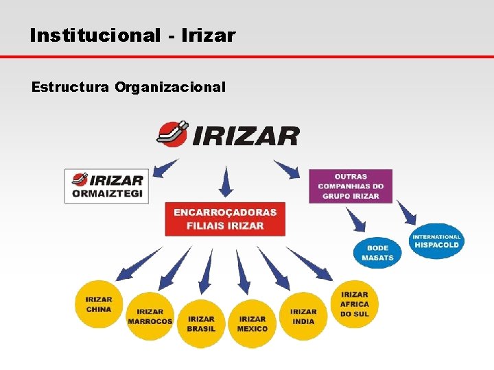 Institucional - Irizar Estructura Organizacional 